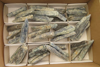 Natural Kyanite Crystal Specimens x 47 From Zimbabwe