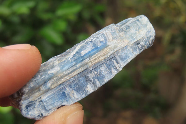 Natural Kyanite Crystal Specimens x 47 From Zimbabwe