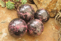 Polished Rhodonite Spheres x 4 From Madagascar