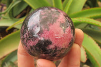 Polished Rhodonite Spheres x 4 From Madagascar