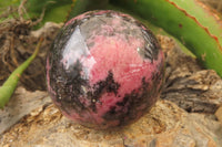 Polished Rhodonite Spheres x 4 From Madagascar