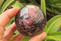 Polished Rhodonite Spheres x 4 From Madagascar