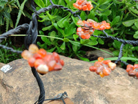 Hand Made Carnelian Wire Wrap Tree - Sold per Item - From KwaZulu Natal, South Africa