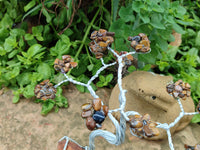 Hand Made Tigers Eye Wire Wrap Tree On Cobbed Nguni Jasper - Sold per Item -  From South Africa