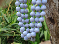 Polished Medium Namibian Blue Lace Agate Ball Shaped Bead Necklace - Sold per Item- From Namibia