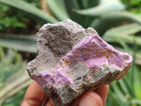 Natural Stichtite Cobbed Specimens x 12 From Barberton, South Africa