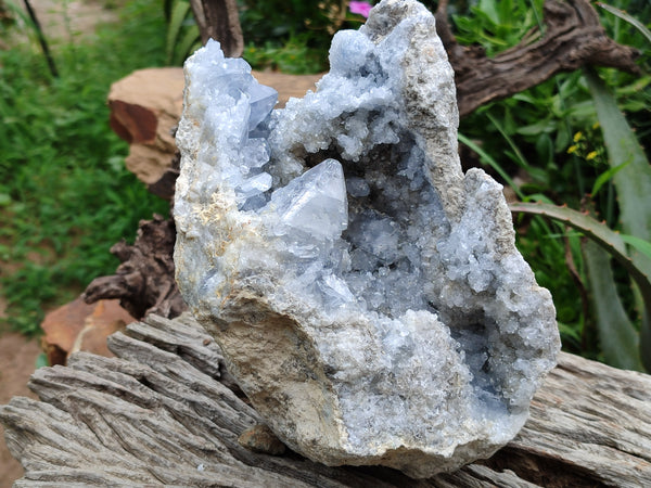 Natural Celestite Geode Specimen x 1 From Sakoany, Madagascar