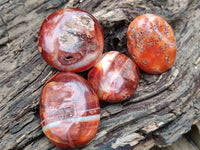 Polished Carnelian Palm Stones x 25 From Madagascar