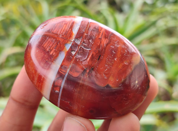 Polished Carnelian Palm Stones x 25 From Madagascar