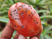 Polished Carnelian Palm Stones x 25 From Madagascar