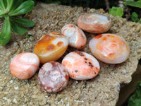 Polished Carnelian Palm Stones x 25 From Madagascar