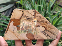 Hand Made Cheetah Decoupage Stone Slabs x 6 From Southern Africa