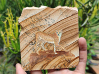 Hand Made Cheetah Decoupage Stone Slabs x 6 From Southern Africa