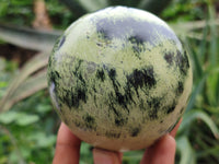 Polished Leopard Stone Spheres x 2 From Nyanga, Zimbabwe