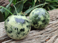 Polished Leopard Stone Spheres x 2 From Nyanga, Zimbabwe