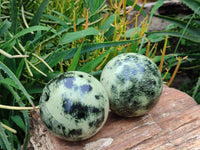 Polished Leopard Stone Spheres x 2 From Nyanga, Zimbabwe