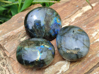 Polished Labradorite Palm Stones x 12 From Madagascar