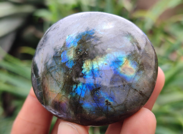 Polished Labradorite Palm Stones x 12 From Madagascar