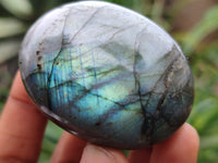 Polished Labradorite Palm Stones x 12 From Madagascar