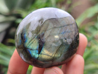 Polished Labradorite Palm Stones x 12 From Madagascar