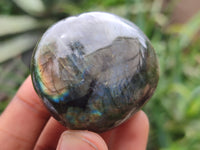 Polished Labradorite Palm Stones x 12 From Madagascar