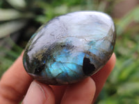 Polished Labradorite Palm Stones x 12 From Madagascar