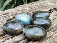 Polished Labradorite Palm Stones x 12 From Madagascar