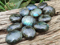 Polished Labradorite Palm Stones x 12 From Madagascar