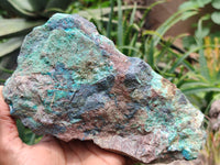 Natural Blue Shattuckite Specimens x 5 From Kaokoveld, Namibia