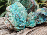 Natural Blue Shattuckite Specimens x 5 From Kaokoveld, Namibia