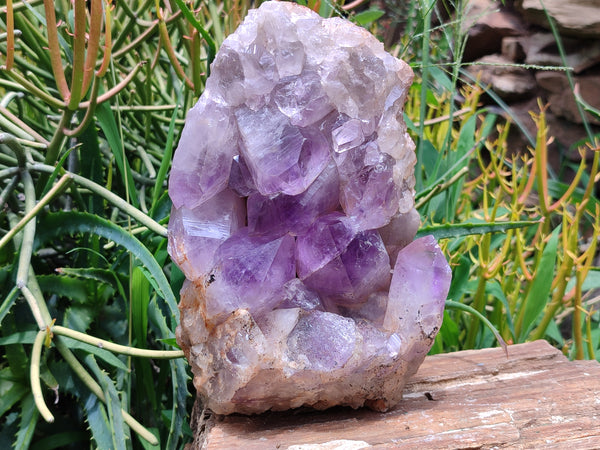 Natural Jacaranda Amethyst Quartz Cluster x 1 from Mumbwa, Zambia