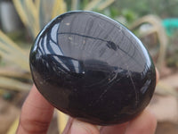 Polished Black Tourmaline Palm Stones x 12 From Madagascar