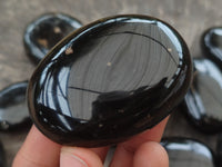 Polished Black Tourmaline Palm Stones x 12 From Madagascar