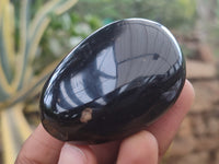 Polished Black Tourmaline Palm Stones x 12 From Madagascar