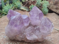 Natural Jacaranda Amethyst Quartz Clusters x 4 from Mumbwa, Zambia