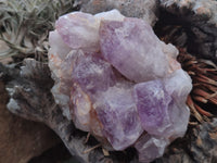 Natural Jacaranda Amethyst Quartz Clusters x 4 from Mumbwa, Zambia