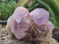 Natural Jacaranda Amethyst Quartz Clusters x 4 from Mumbwa, Zambia