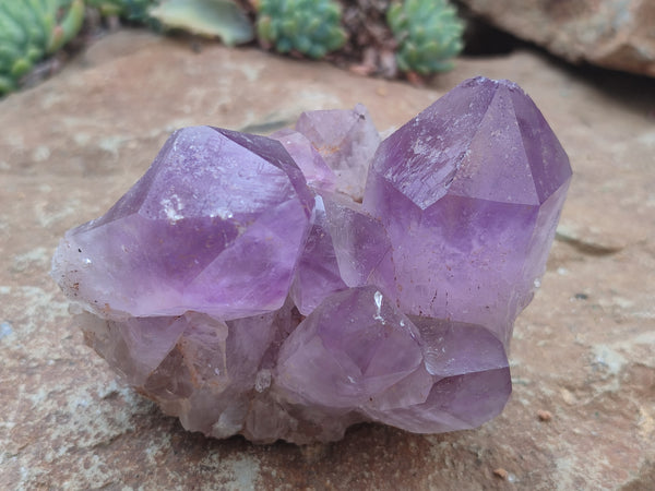 Natural Jacaranda Amethyst Quartz Clusters x 4 from Mumbwa, Zambia