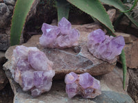 Natural Jacaranda Amethyst Quartz Clusters x 4 from Mumbwa, Zambia