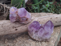 Natural Jacaranda Amethyst Quartz Clusters x 4 from Mumbwa, Zambia