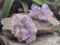 Natural Jacaranda Amethyst Quartz Clusters x 4 from Mumbwa, Zambia