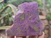 Polished on One Side Stichtite Free Forms x 12 From Barberton, South Africa