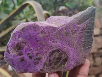 Polished on One Side Stichtite Free Forms x 12 From Barberton, South Africa