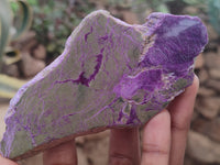 Polished on One Side Stichtite Free Forms x 12 From Barberton, South Africa