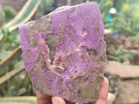 Polished on One Side Stichtite Free Forms x 12 From Barberton, South Africa