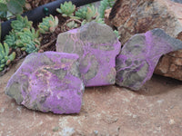 Polished on One Side Stichtite Free Forms x 12 From Barberton, South Africa