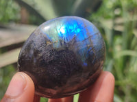 Polished Labradorite Palm Stones x 12 From Tulear, Madagascar