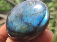 Polished Labradorite Palm Stones x 12 From Tulear, Madagascar