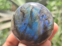 Polished Labradorite Palm Stones x 12 From Tulear, Madagascar