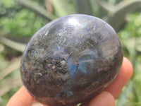 Polished Labradorite Palm Stones x 12 From Tulear, Madagascar